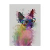 Trademark Fine Art Fab Funky 'Rainbow Splash Cat 2' Canvas Art, 35x47 WAG00122-C3547GG